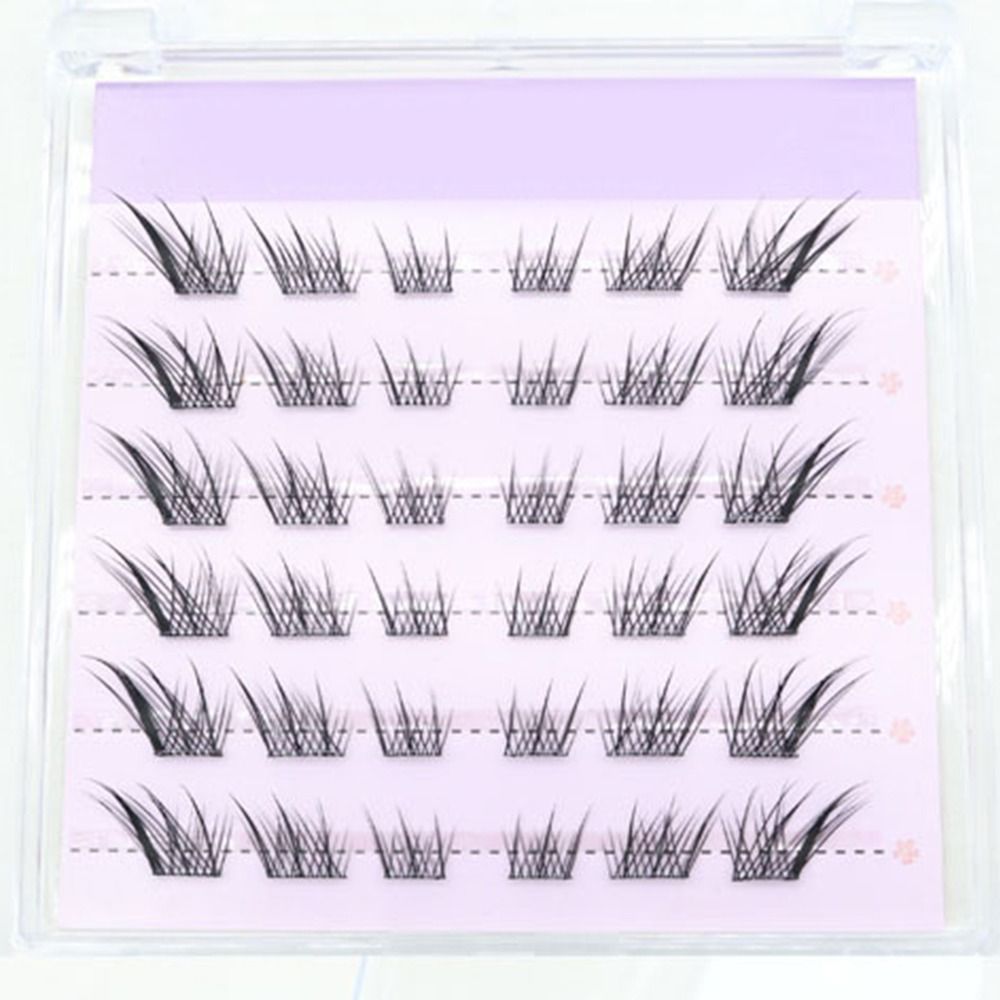Nowe rzęsy 3D typu kocie oko,  – Eyelash Extension Cat Eye Wispy recenzja i cena